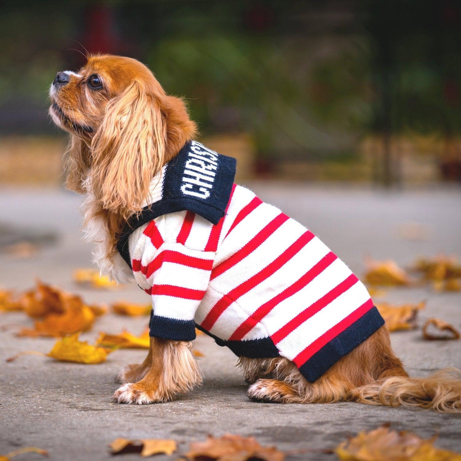 La Vie Est Belle Designer Dog Sweater Cardigan