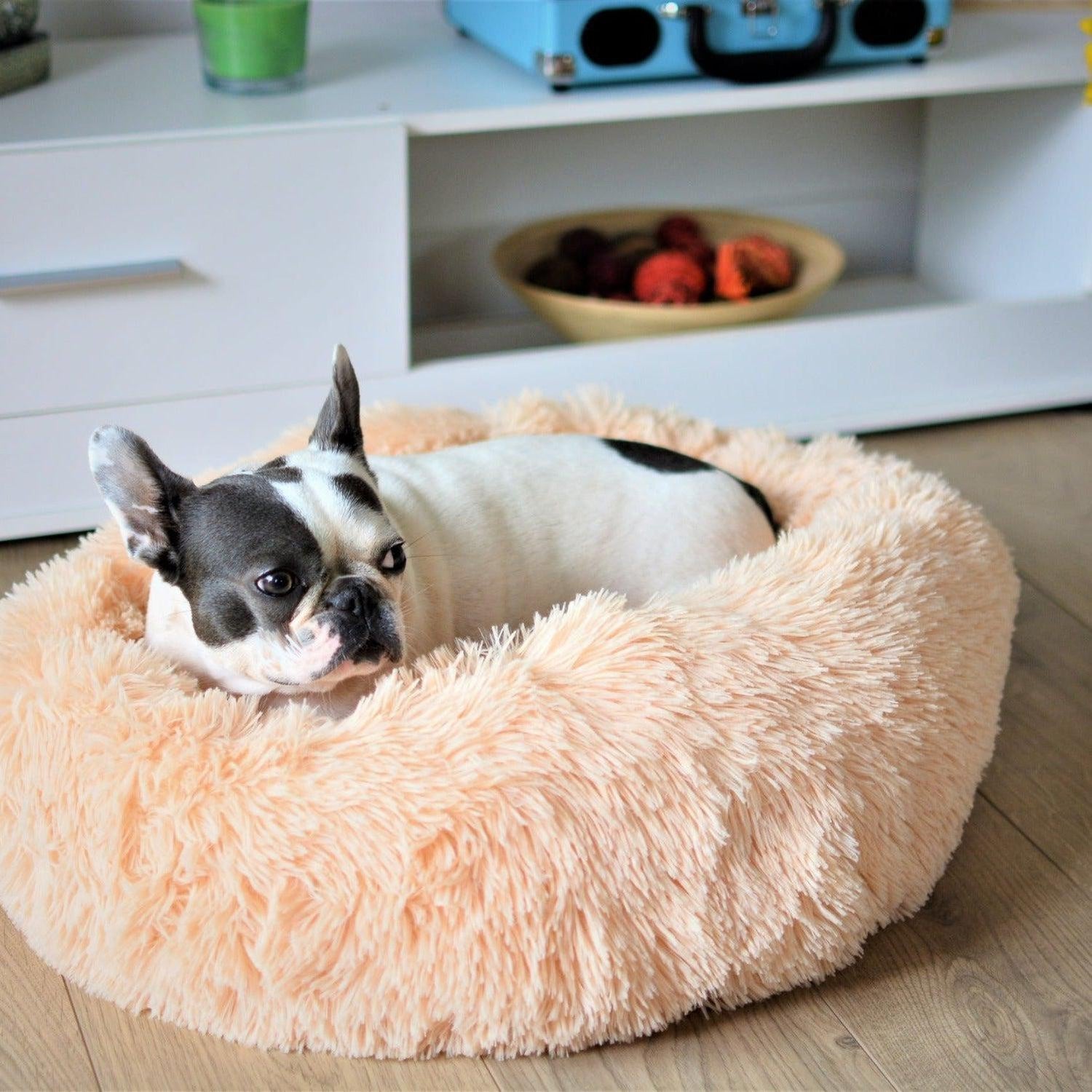 Luxury Soft Donut Dog Bed Cushion Superior Comfort - Abricot
