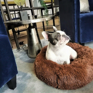 Luxury Soft Donut Dog Bed Cushion Superior Comfort - Coffee