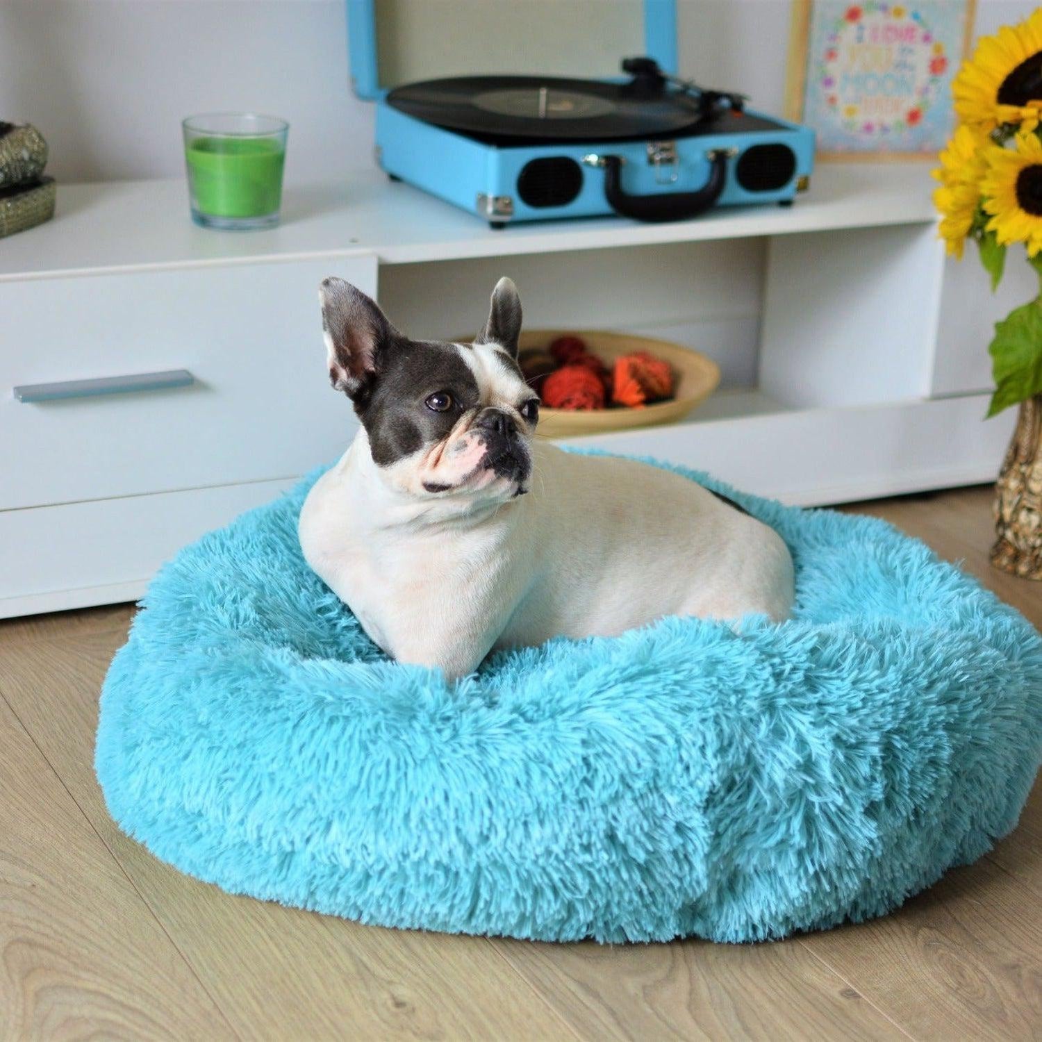 Luxury Soft Donut Dog Bed Cushion Superior Comfort - Mint