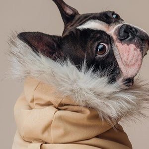 Manhattan Parka Jacket Dog Coat