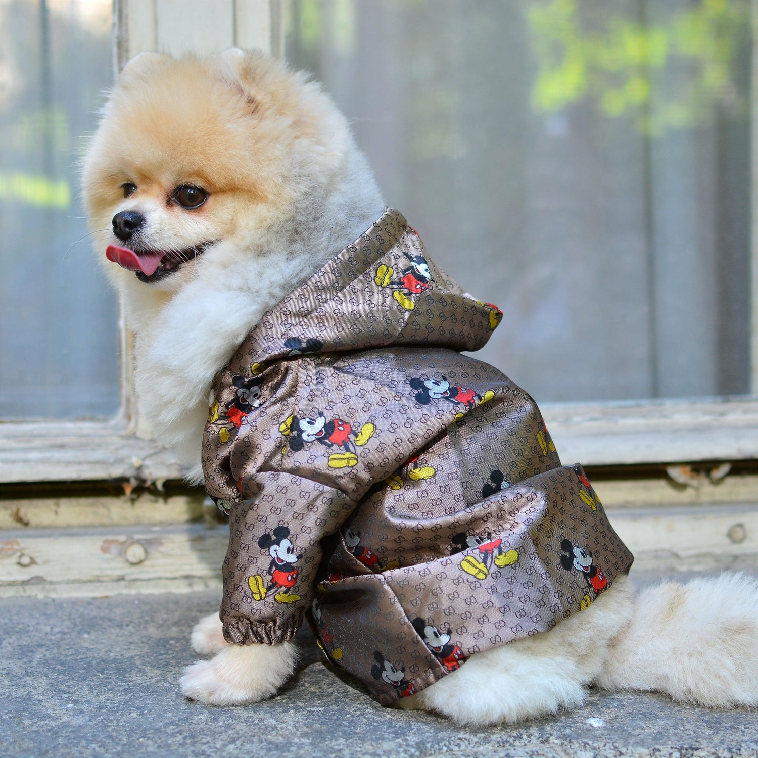 Mickey Designer Dog Hoodie Jacket