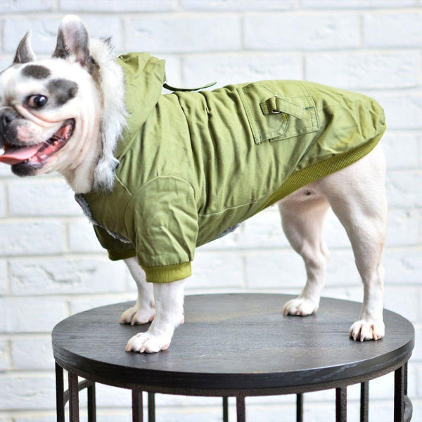 Military Dog Hoodie Jacket For Dog Lovers