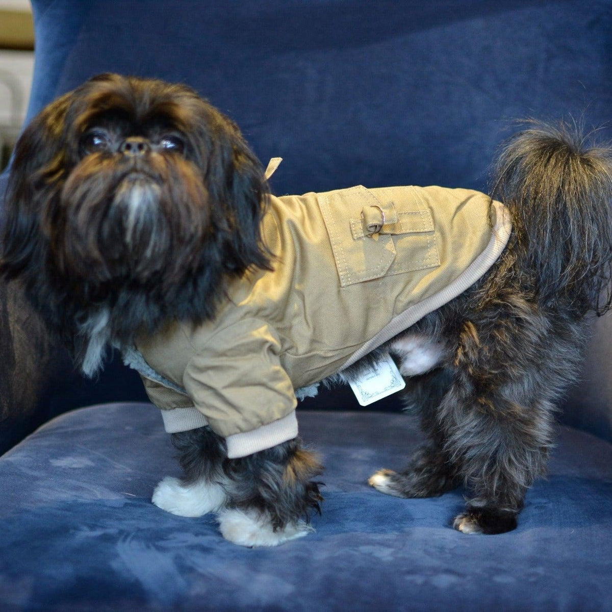 Military Dog Hoodie Jacket