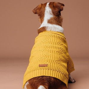 Mustard Knit Dog Jumper