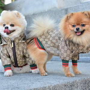 Pawcci Designer Dog Hoodie Jacket