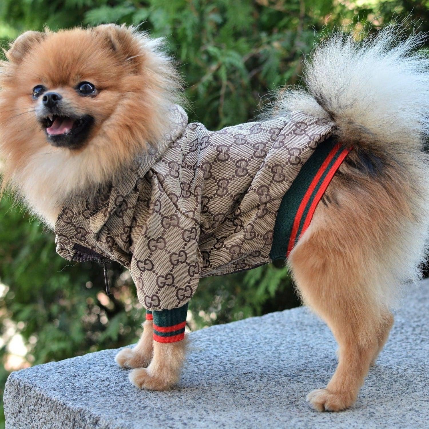 Gucci sale dog coats