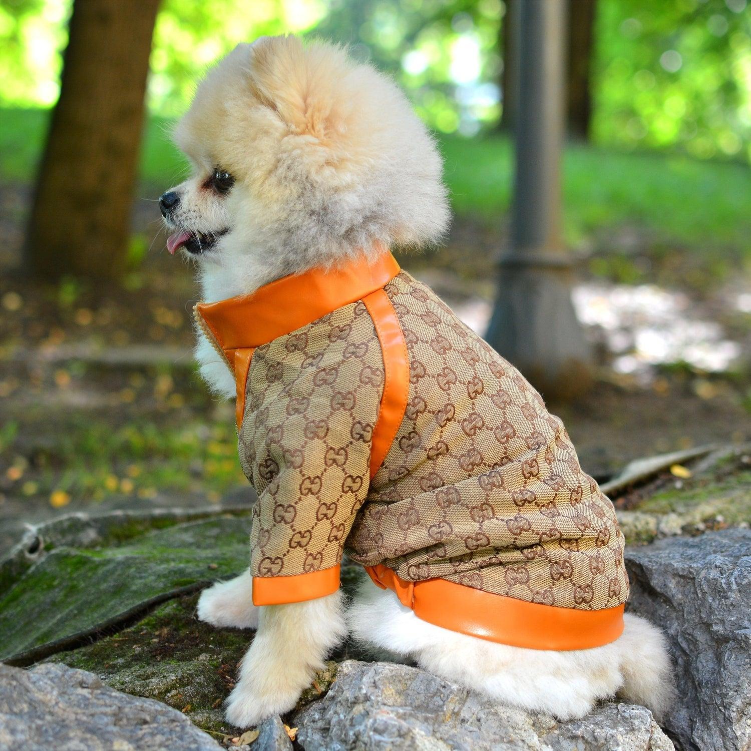 Pawcci Limited Edition Designer Dog Jacket