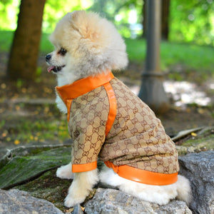 Pawcci Limited Edition Designer Dog Jacket
