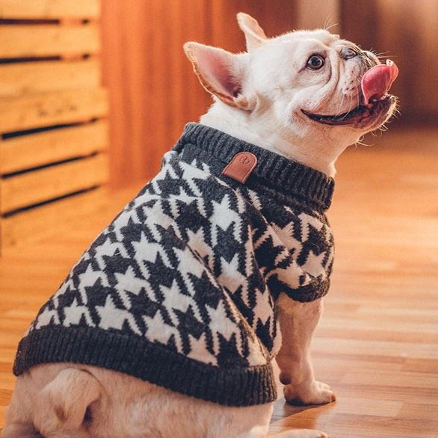 Premium Wool Sweater Dog Jumper