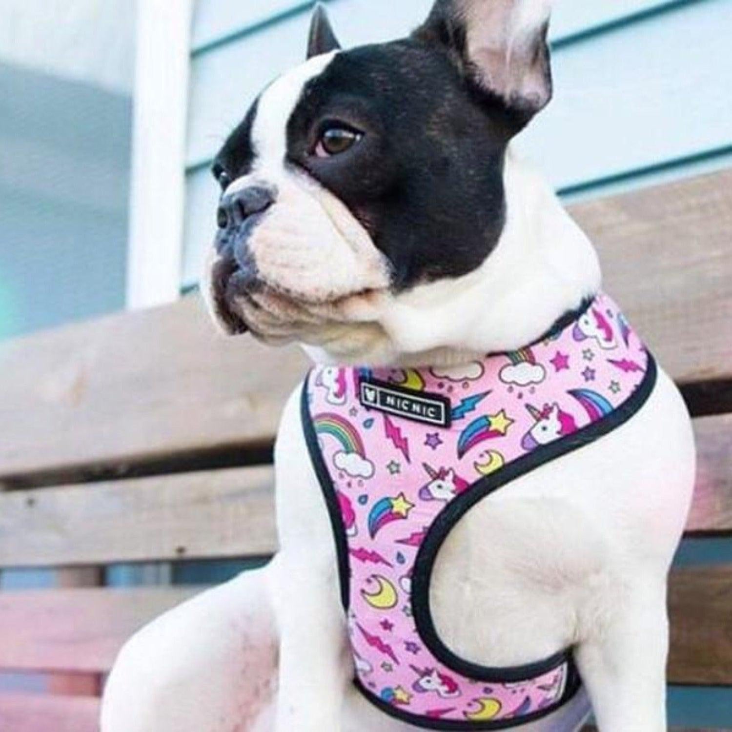 Printed Dog Harness & Leash Set - Pink Unicorn