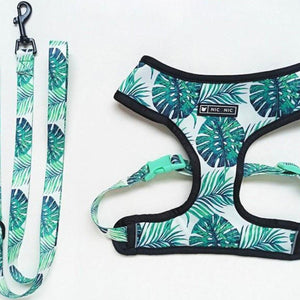 Printed Dog Harness & Leash Set - Tropical Dreams