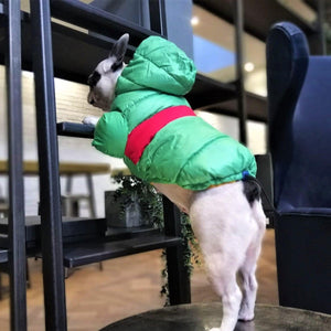 Puffer Waterproof Dog Jacket