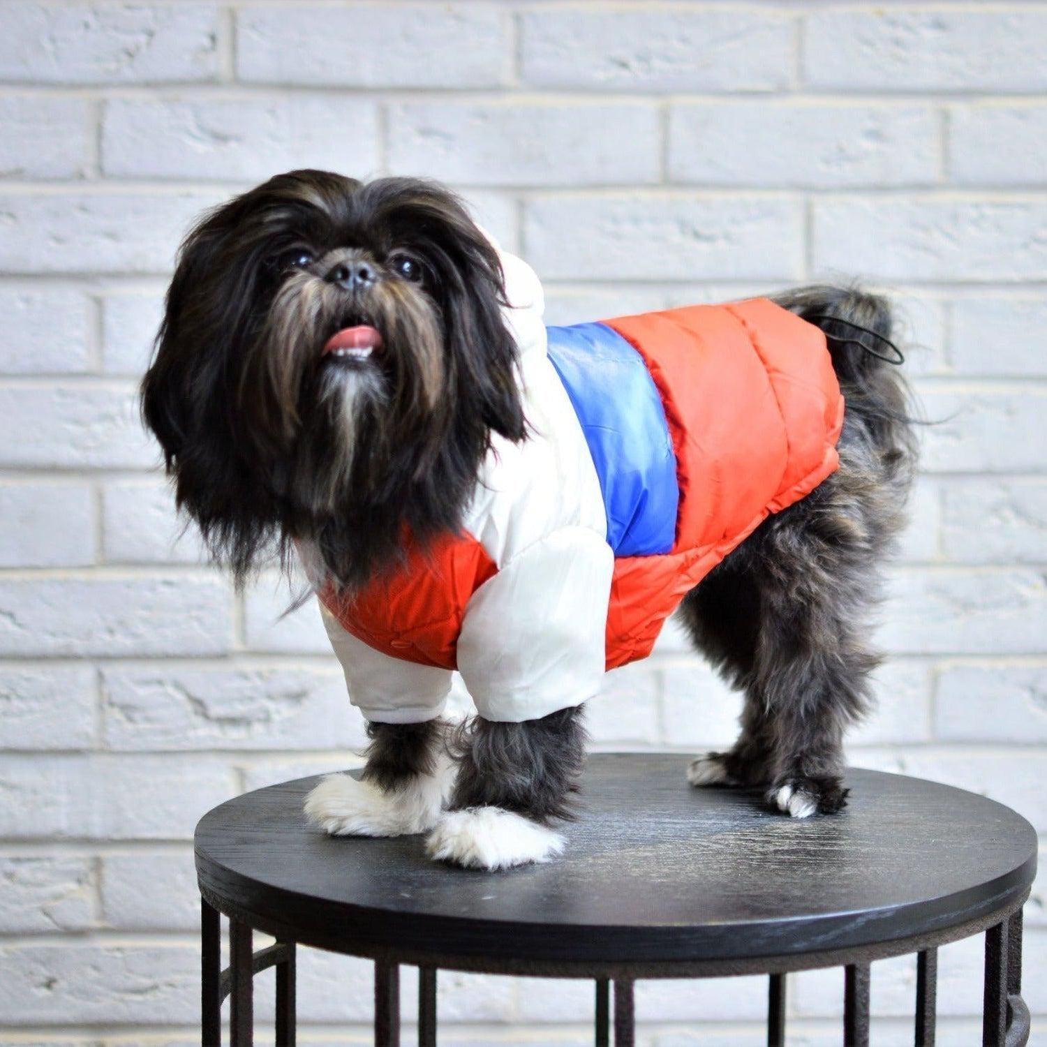 Puffer Waterproof Dog Jacket