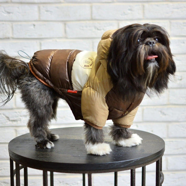 Lhasa apso 2024 dog clothes