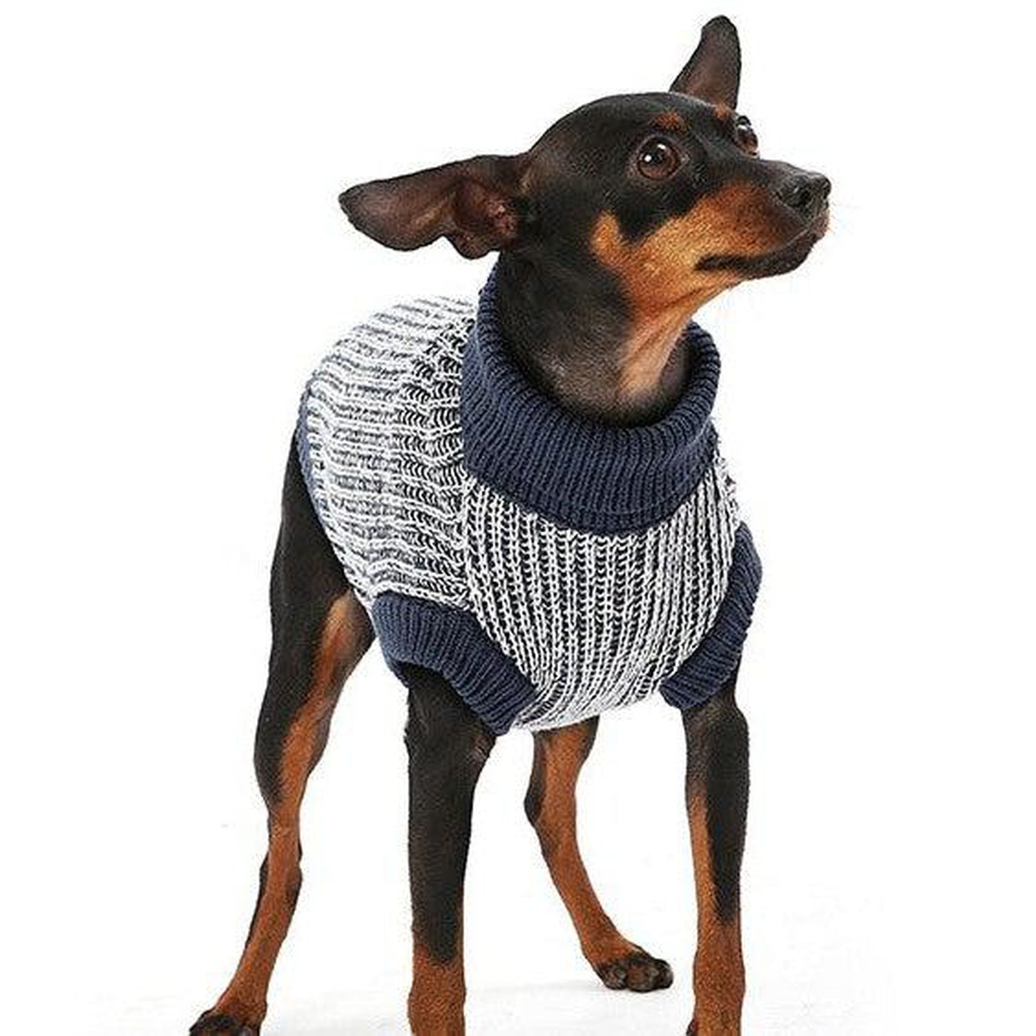 Ribbon Dog Sweater