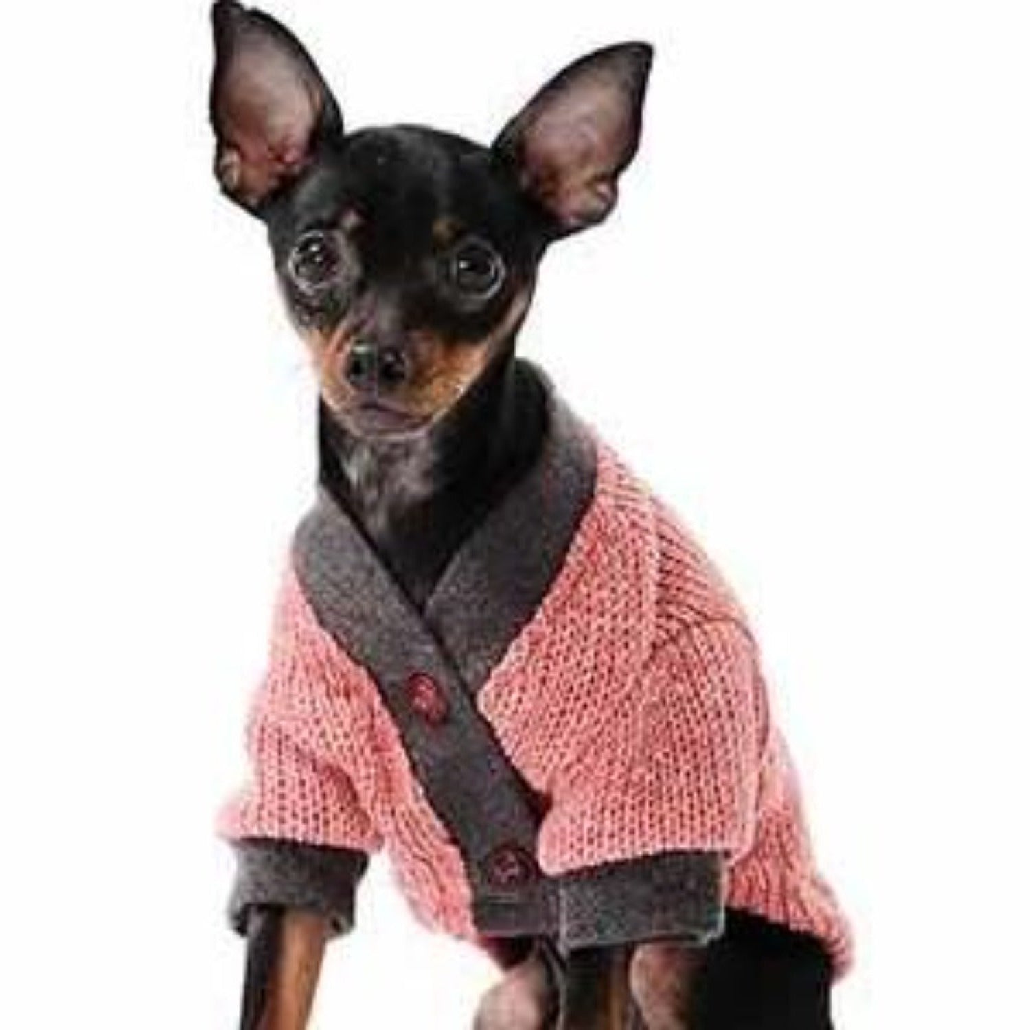 Ribbon Dog Sweater