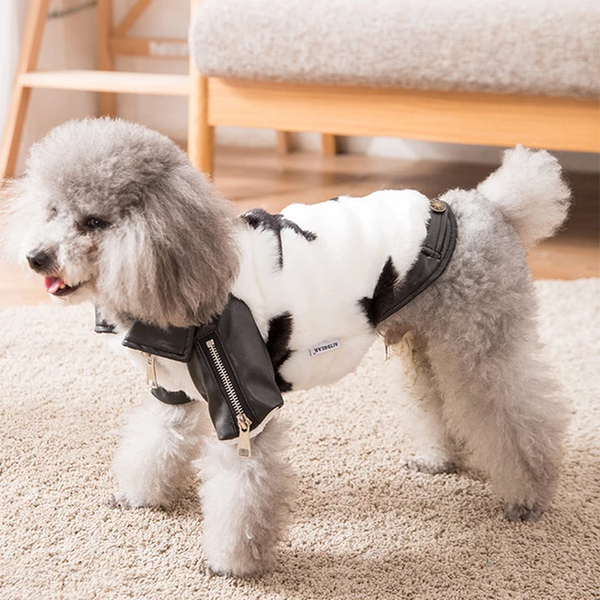 RocknRolla Vintage Leather Dog Jacket For Dog Lovers