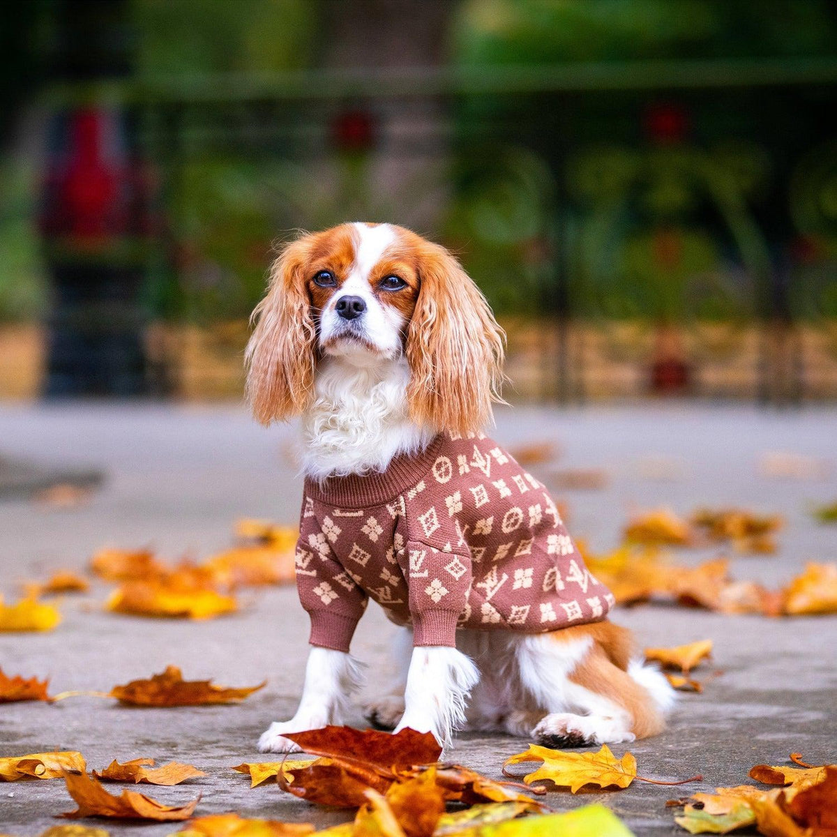 Shades Of Brown Designer Dog Jumper