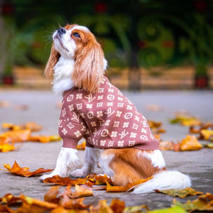 Louis Vuitton Dog Clothing -  UK
