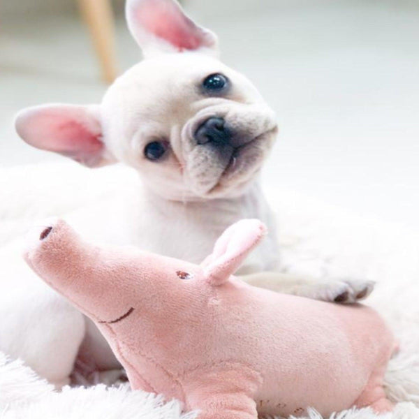 Plush pig dog toy on sale