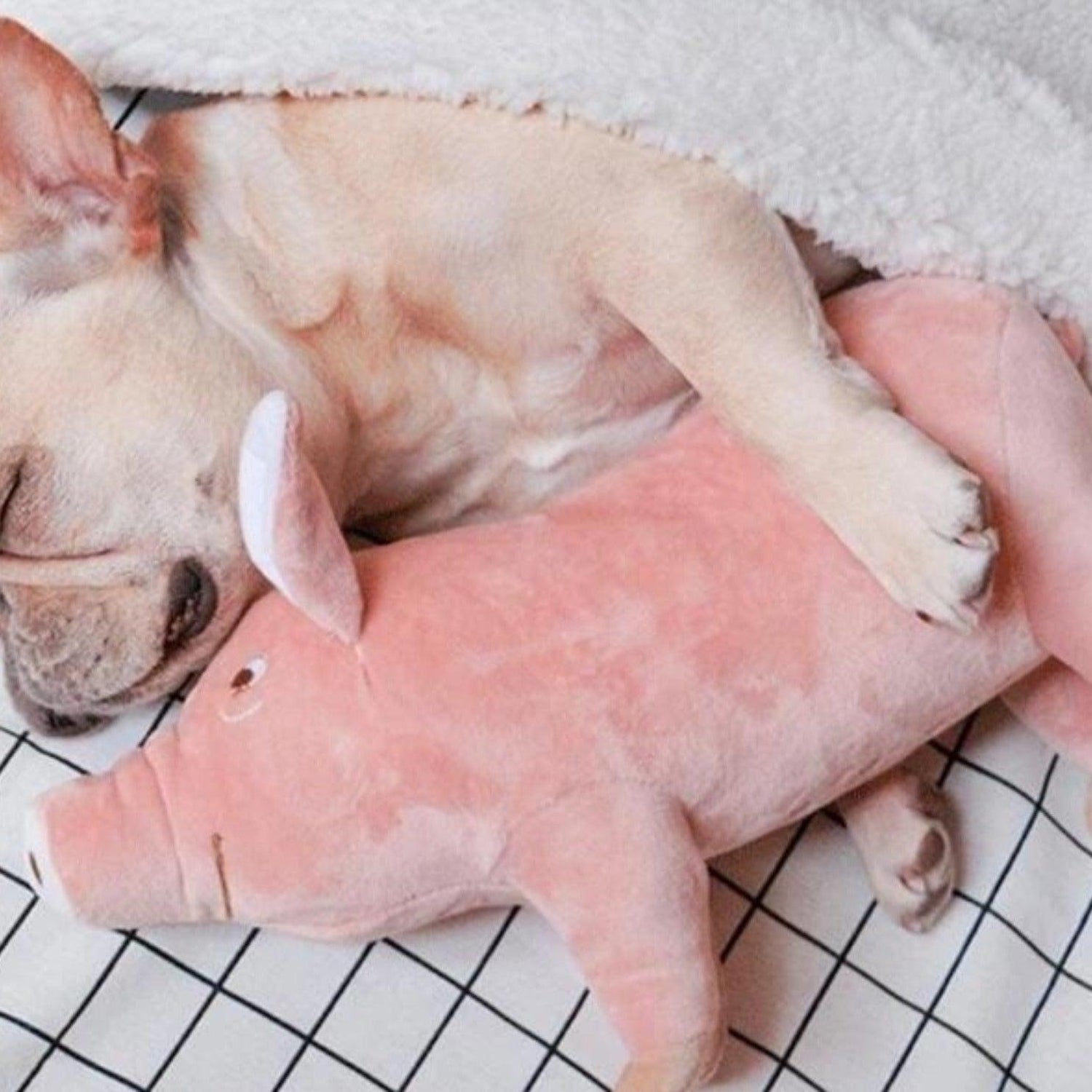 Sleeping Pig Plush Dog Toy