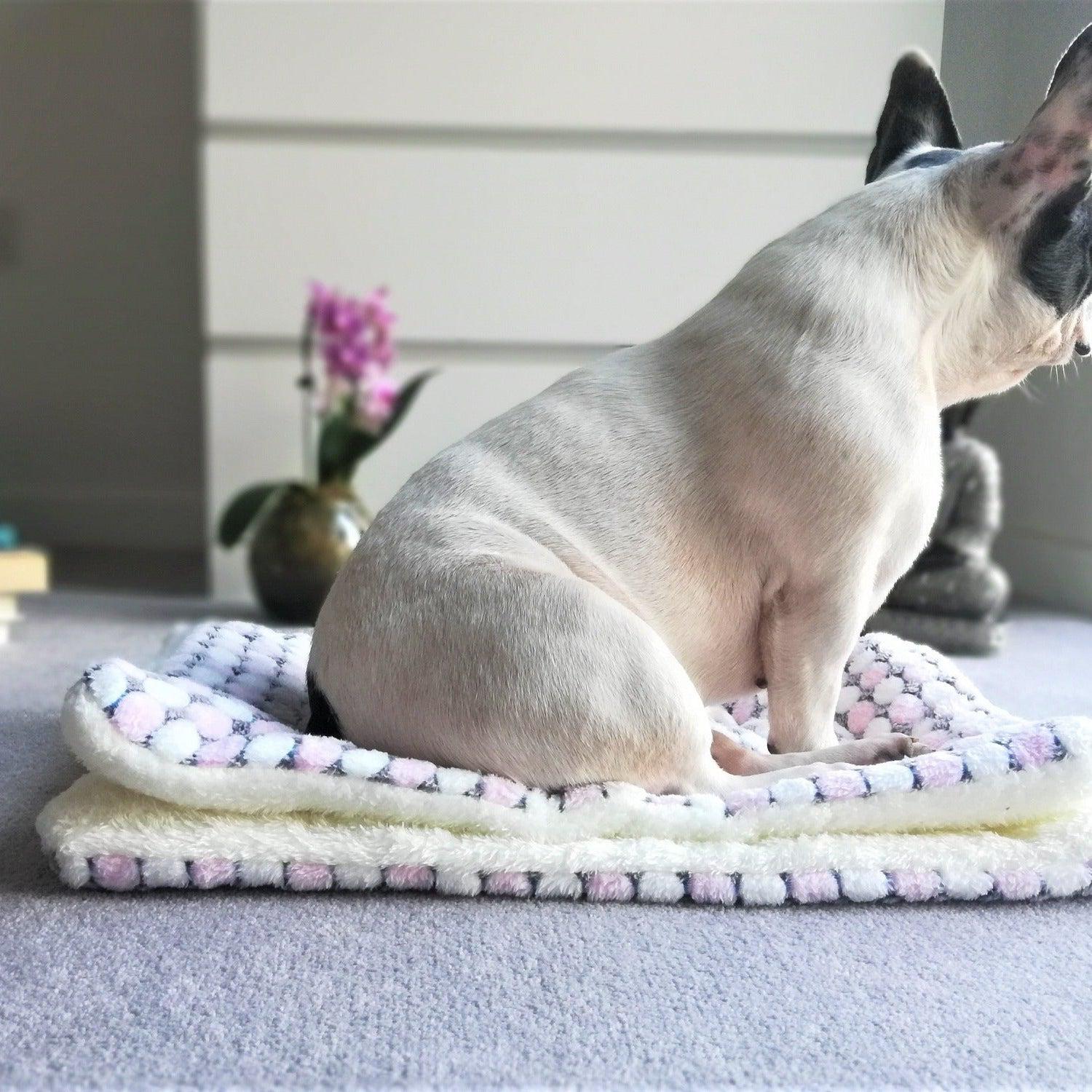 Soft Cozy Dog Blanket Mat - Dots