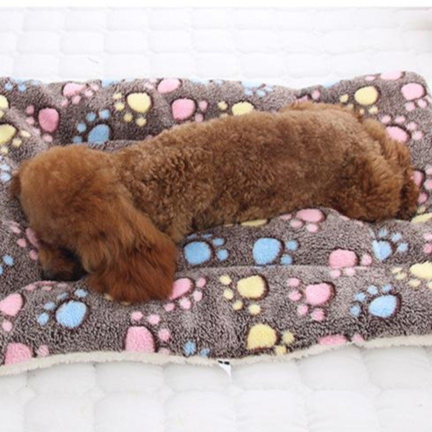 Soft Cozy Dog Blanket Mat -Paw Print