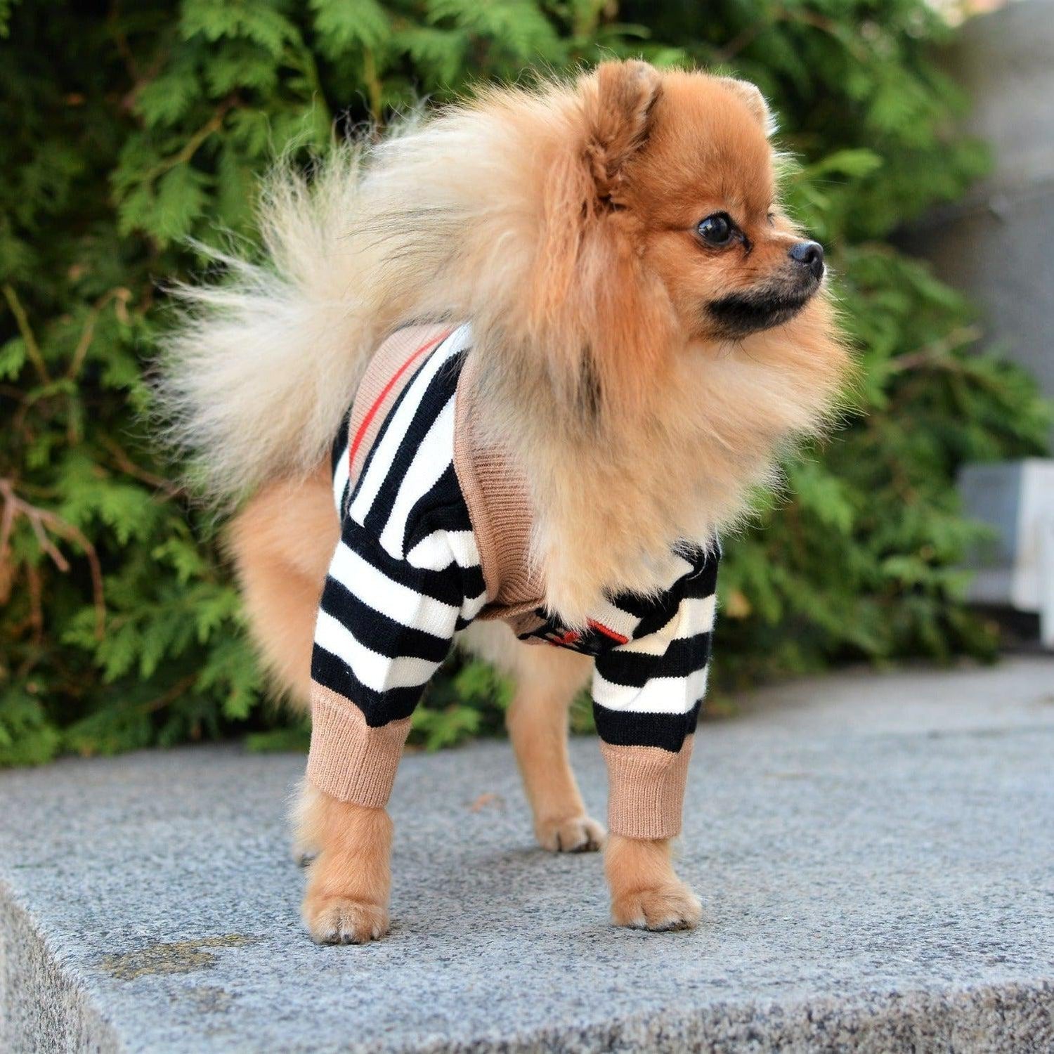Stripe Designer Dog Jumper Cardigan