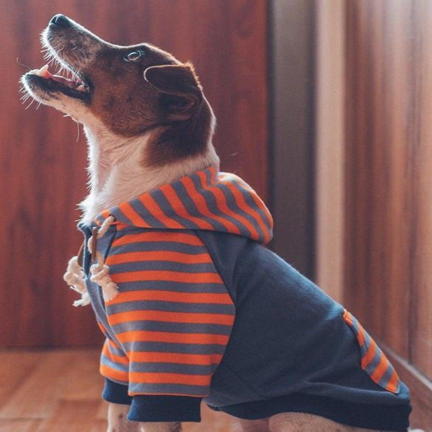 Stripe Dog Hoodie