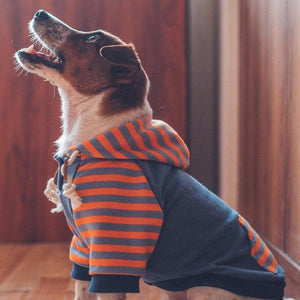 Stripe Dog Hoodie