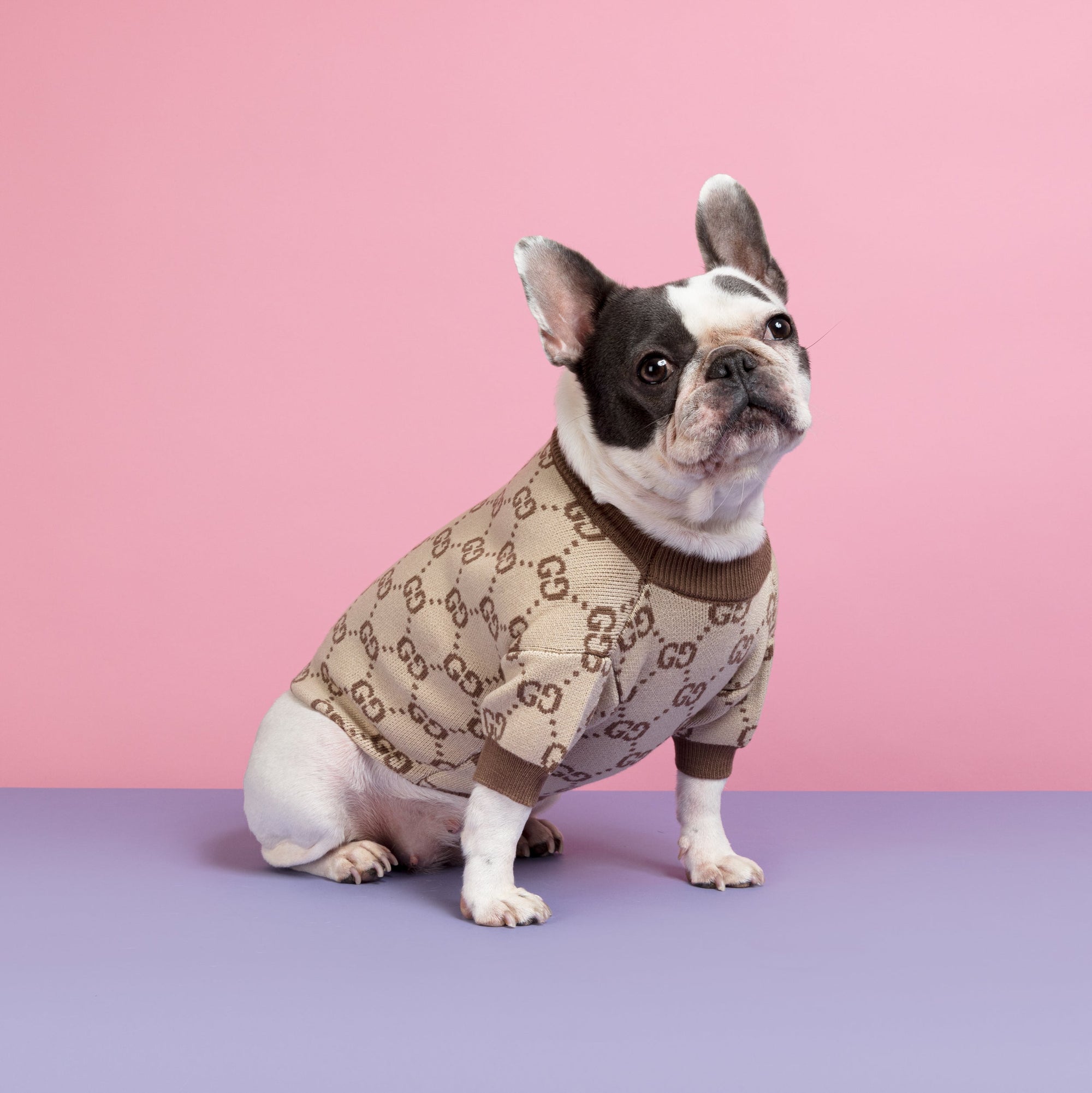Style Me Up Designer Dog Jumper