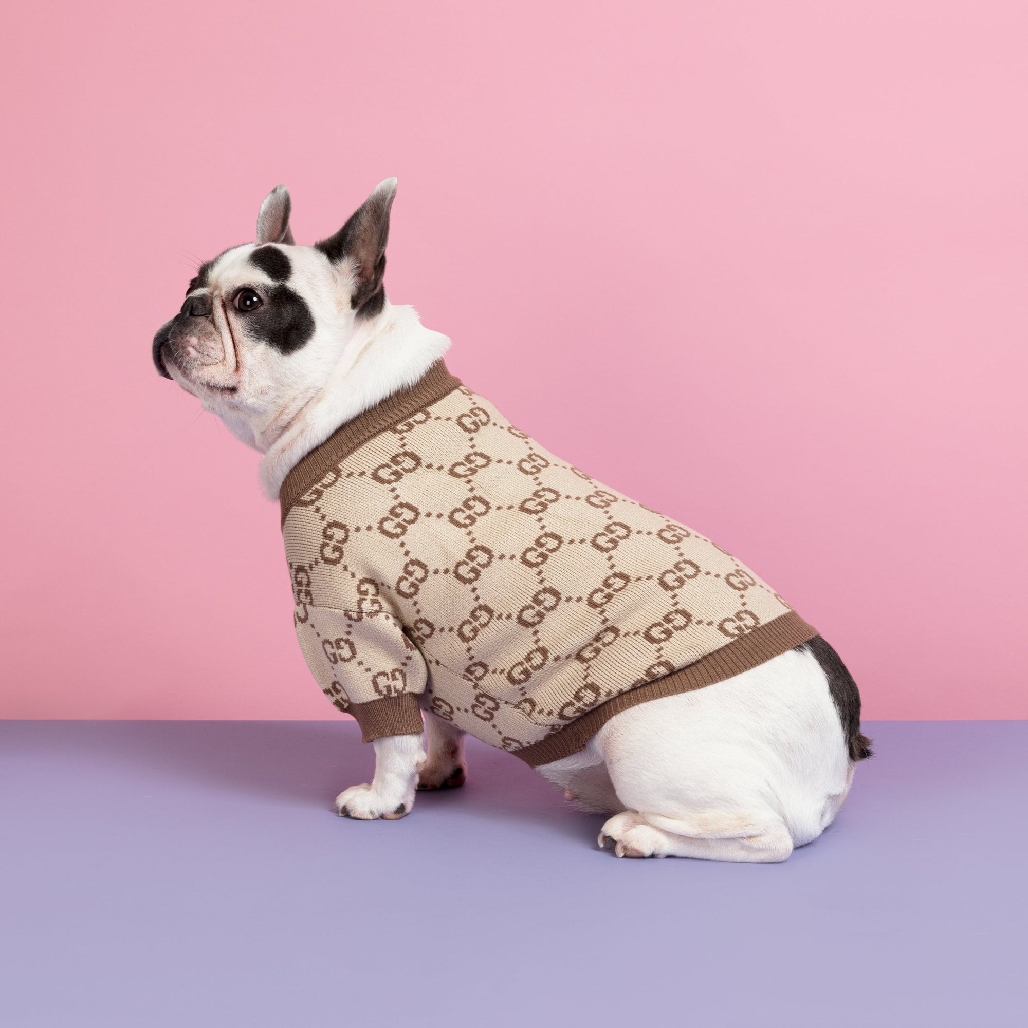 Style Me Up Designer Dog Jumper