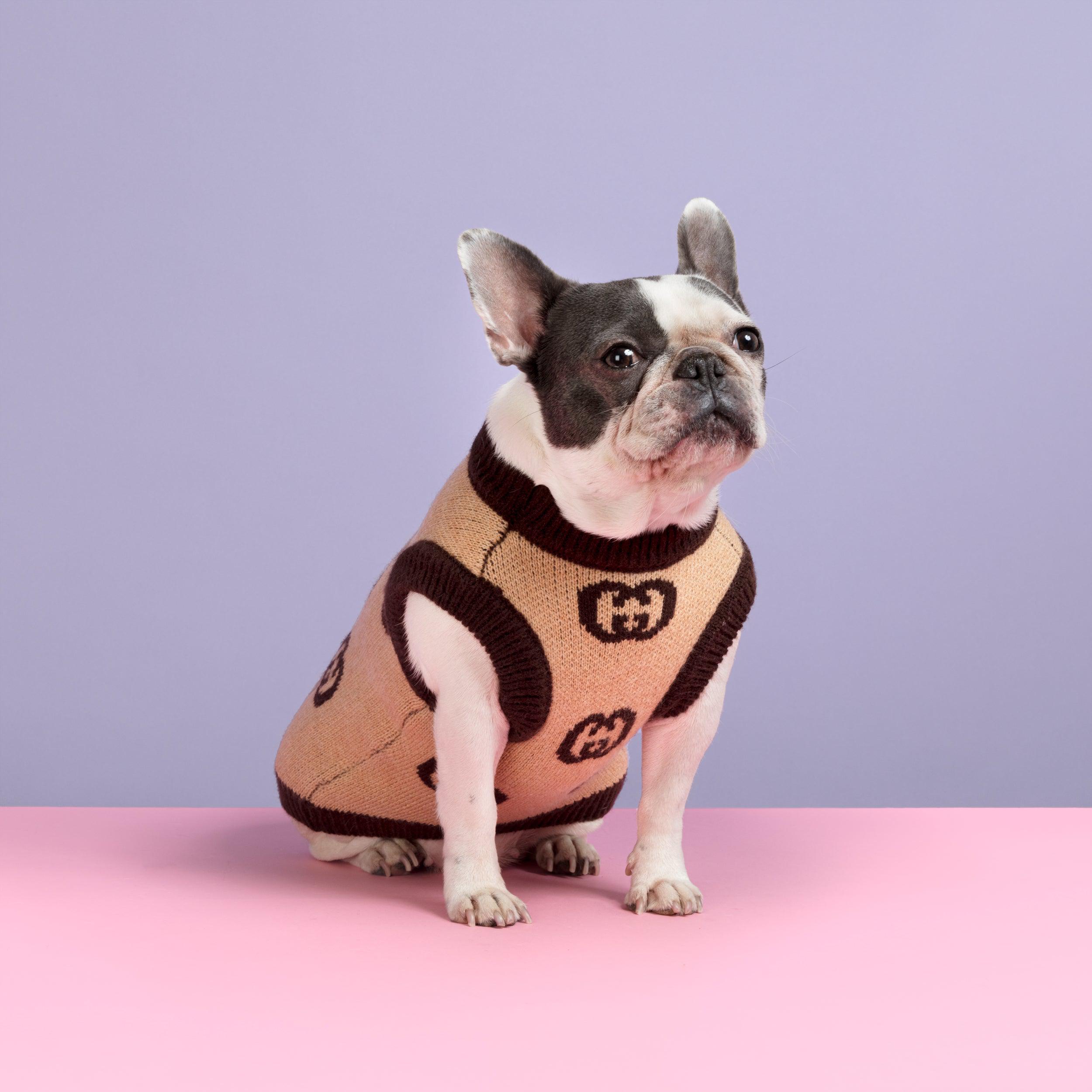Stylish Days Designer Dog Jumper