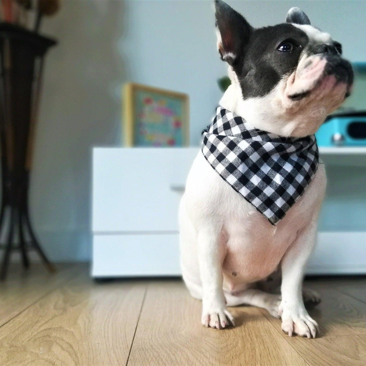 Stylish Dog Cat Winter Bandana Scarf - Black&White