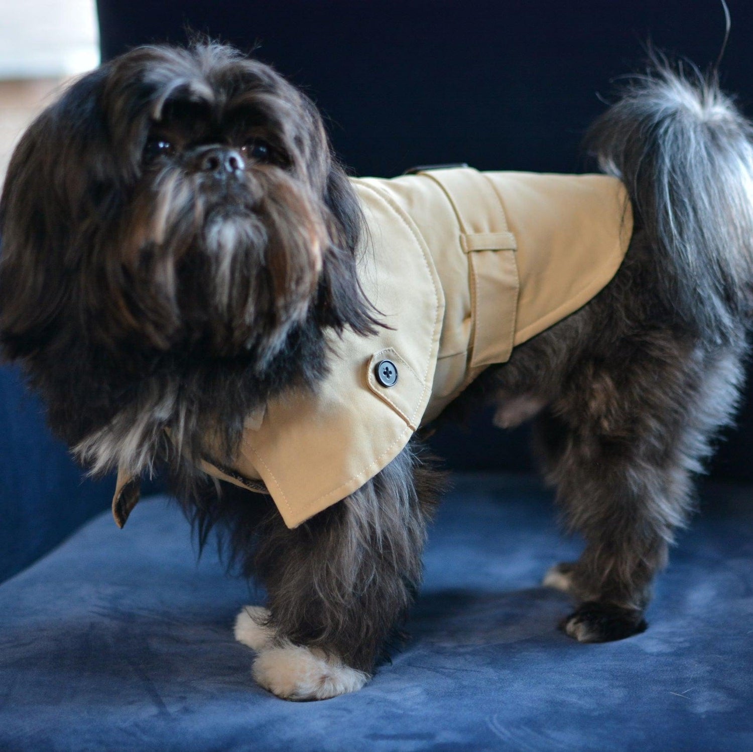 Stylish Trench Dog Coat Jacket