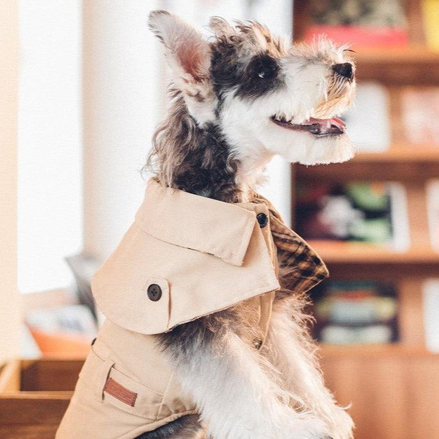 Stylish Trench Dog Coat Jacket