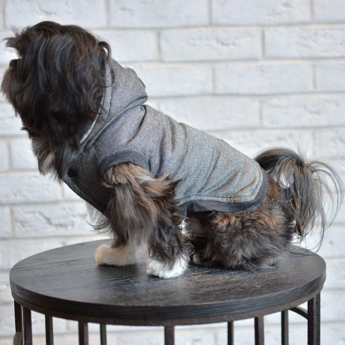 Suede Cotton Dog Coat