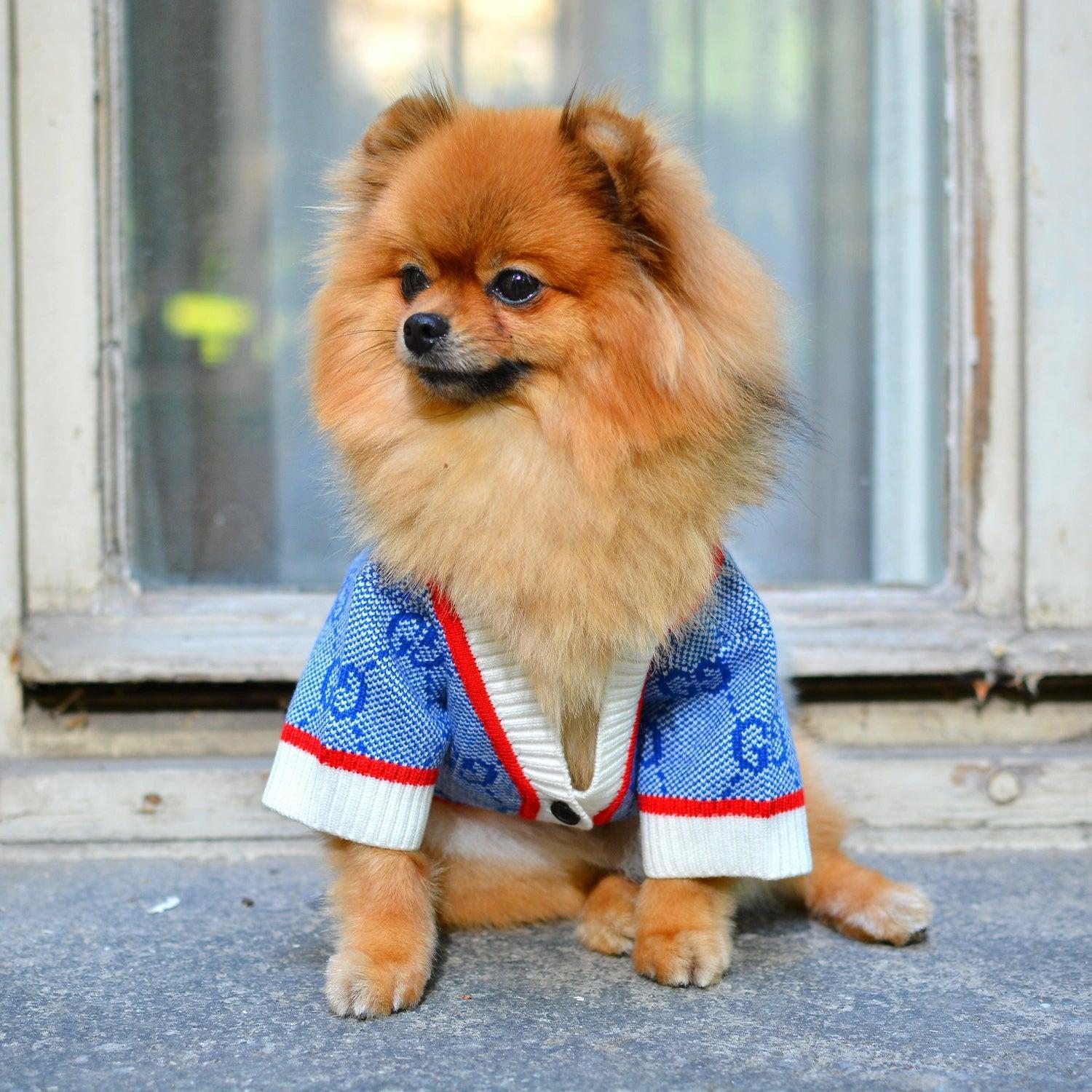 Summer Dreams Designer Dog Sweater Cardigan