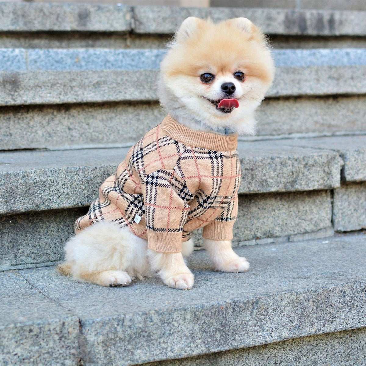 Tartan Designer Dog Sweater