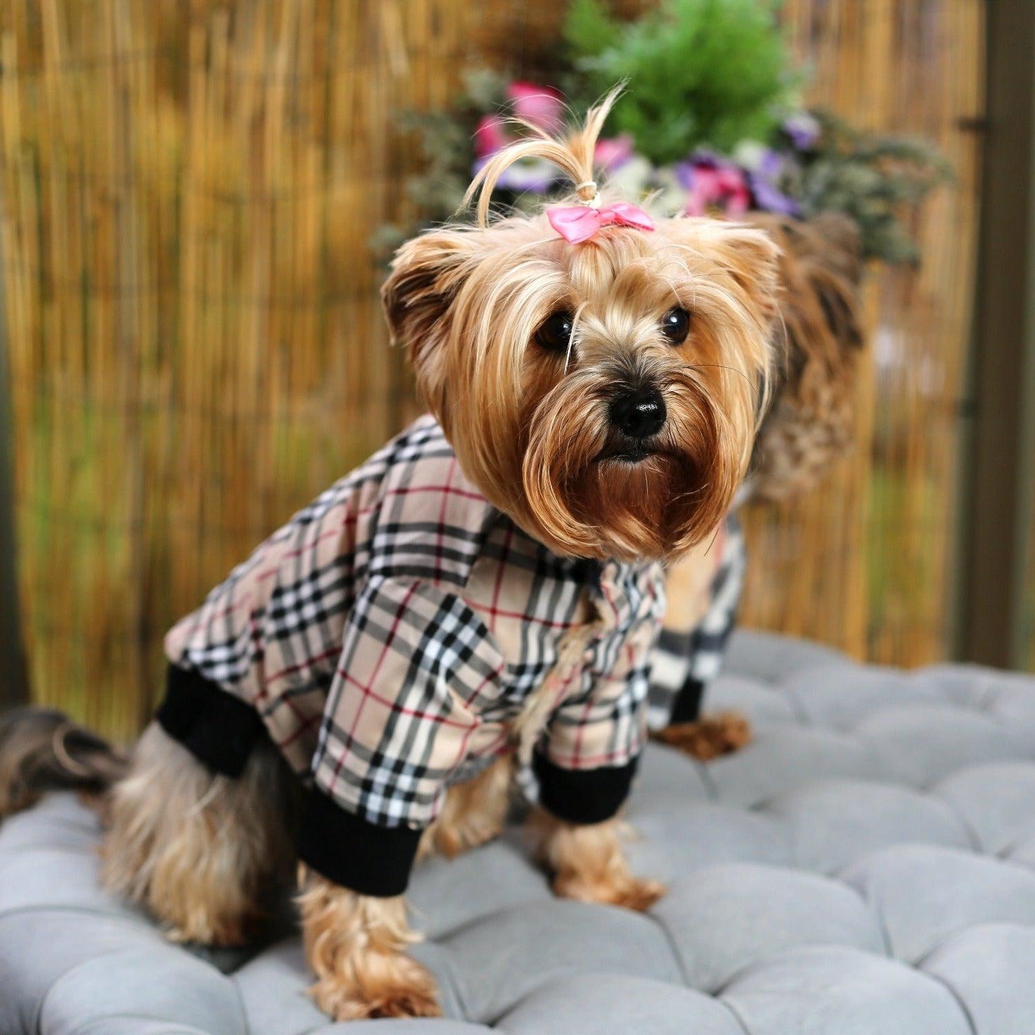 Burberry dog outfit Clearance