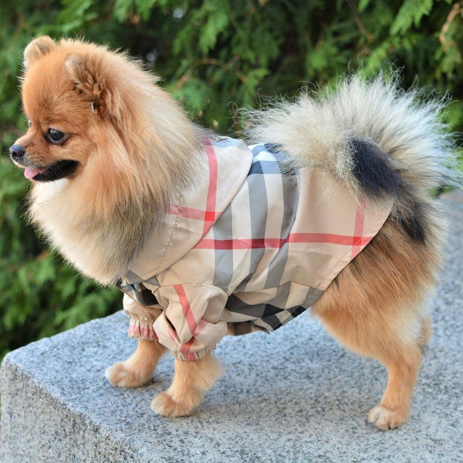 Tartan Windbreaker Coat Dog Jacket