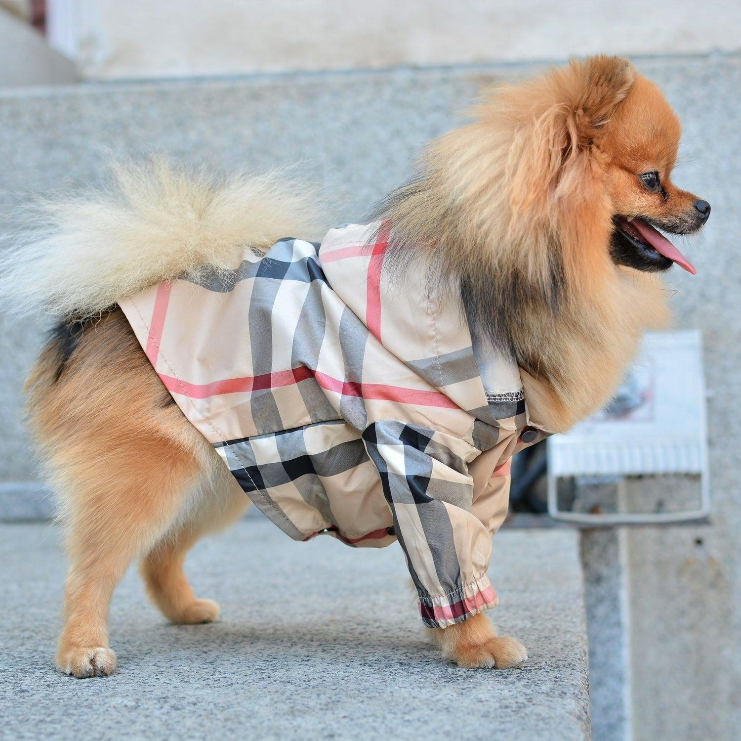 Tartan Windbreaker Coat Dog Jacket