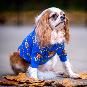 Teddy Designer Jumper Dog Sweater