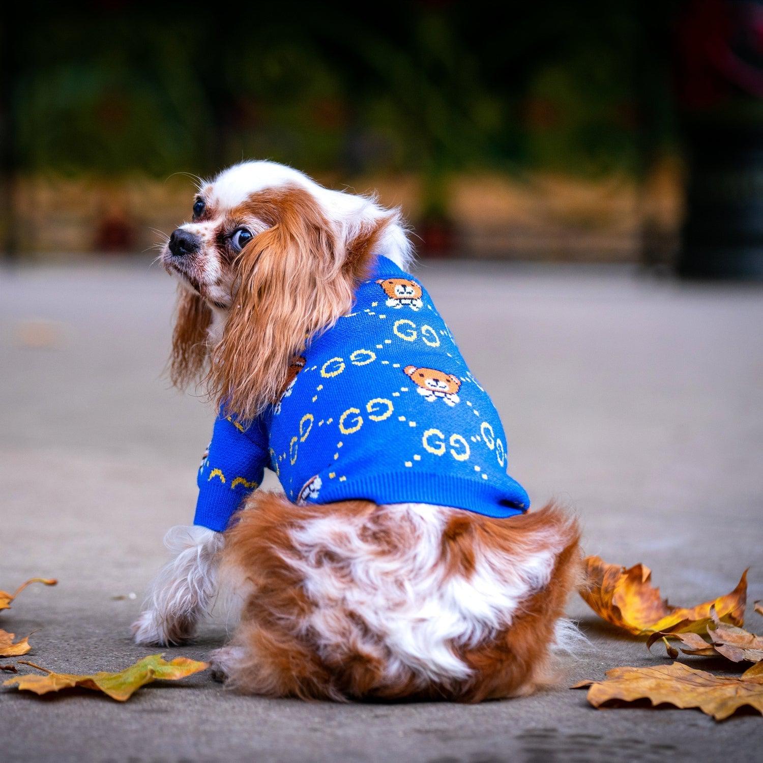 Teddy Designer Jumper Dog Sweater
