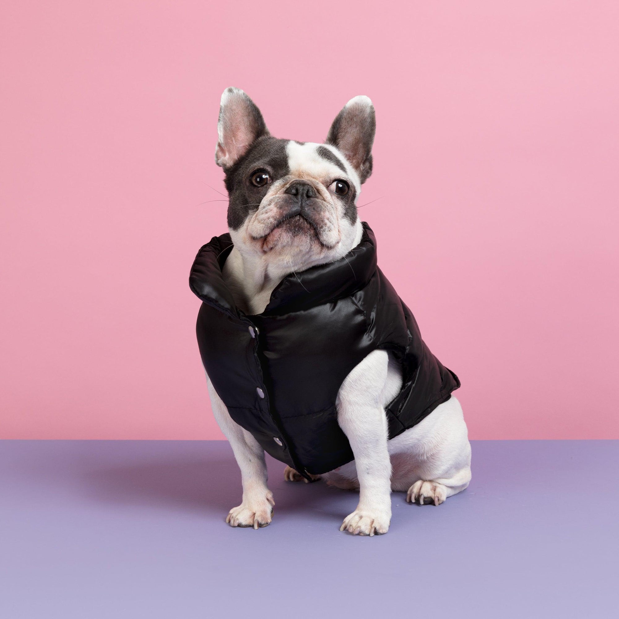 The Bomber Puffer Dog Vest Jacket