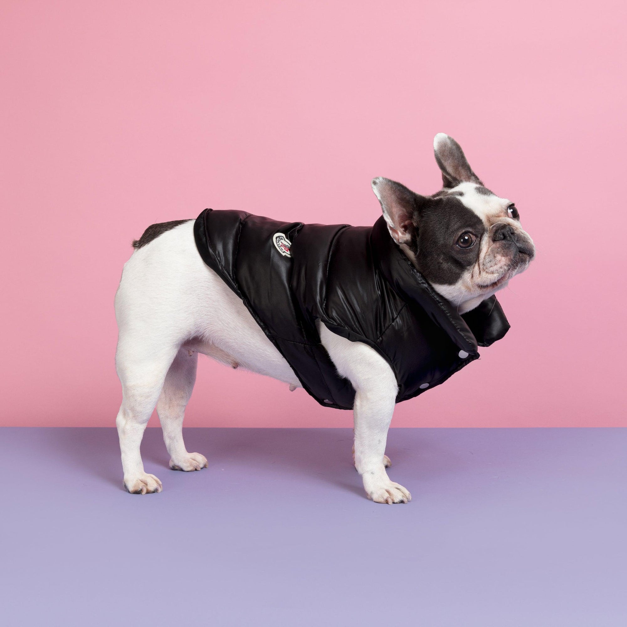 The Bomber Puffer Dog Vest Jacket