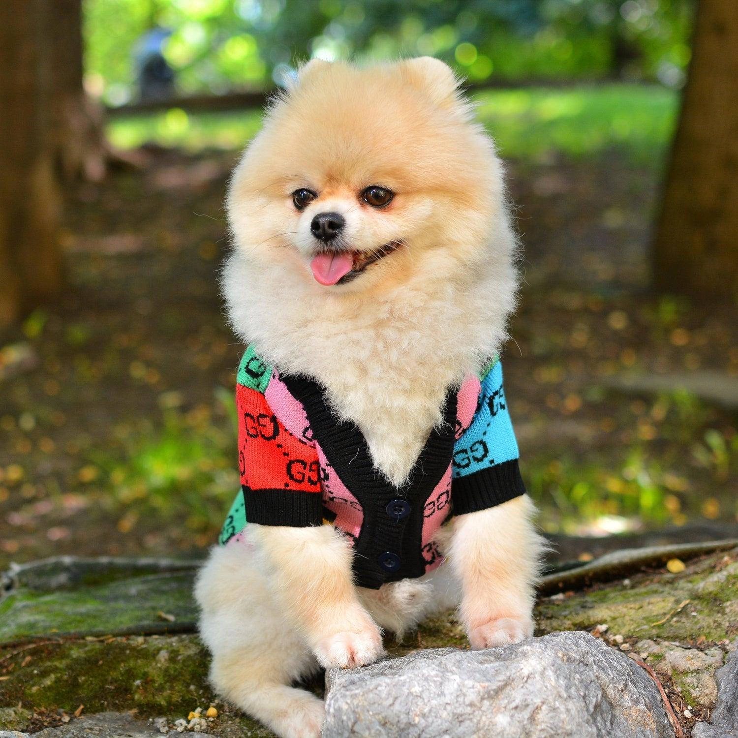 The Rainbow Designer Dog Sweater Cardigan