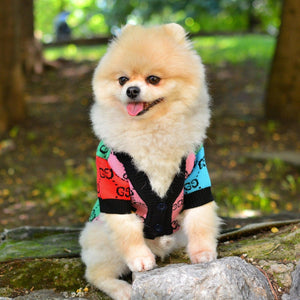 The Rainbow Designer Dog Sweater Cardigan
